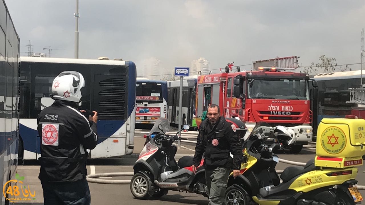 firbus eastyaffa (16).jpg